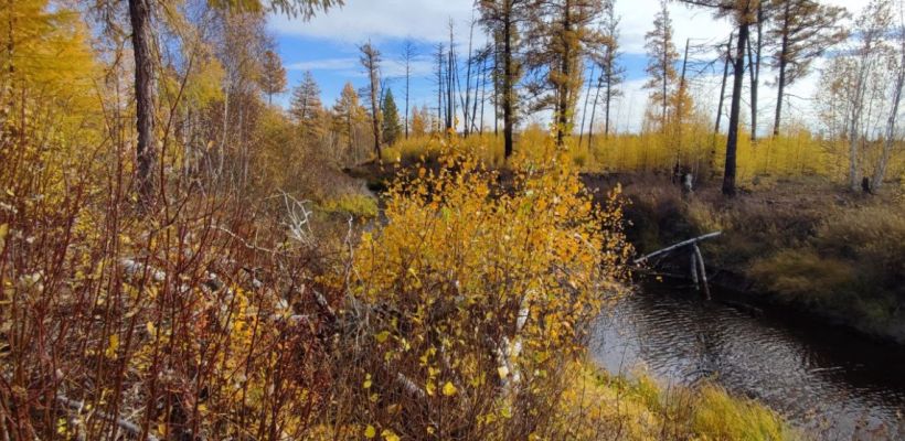 В Якутии пропали охотник и оленевод