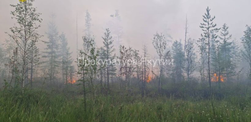 По иску прокуратуры Верхневилюйского района с виновника лесного пожара взыскано 600 тыс. рублей