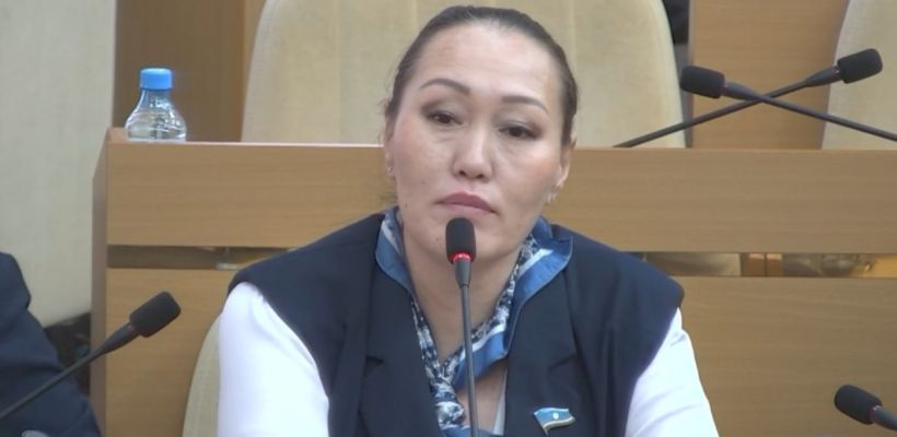 Депутат Заморщикова объяснила свое предложение об уничтожении бездомных собак: "Я за соблюдение закона"