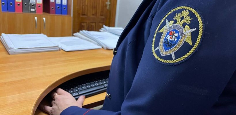 В Якутии в октябре было возбуждено 20 уголовных дел по фактам нападения бездомных собак на людей