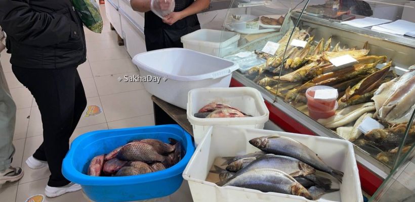 ФАС проверит цены на рыбу в России