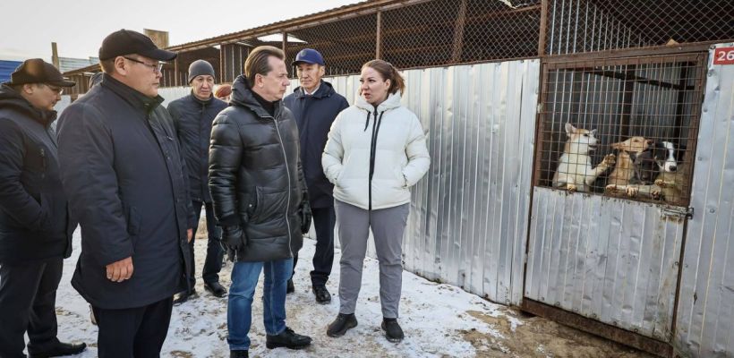 Владимир Бурматов встретился с зоозащитниками в пункте передержки животных Якутска