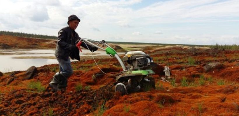 Важнейший опыт рекультивации земель Арктики после промышленной добычи