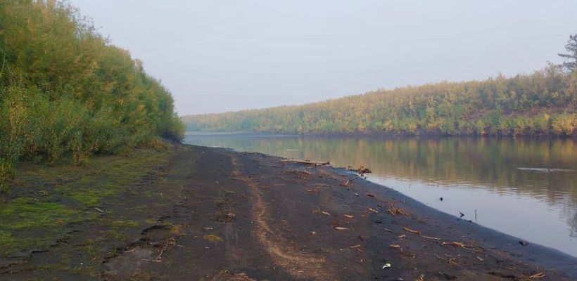 В Якутии депутат ответит за незаконную охоту в состоянии опьянения. Он застрелил лося