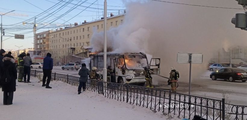 Как узнать какой вид топлива из газа используется в автобусах?