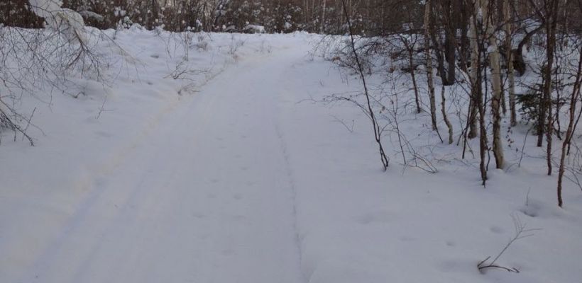 Мужчины, пропавшие в Усть-Янском районе, нашлись