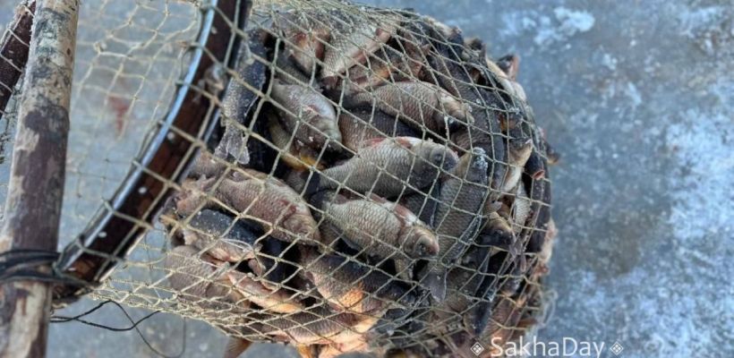 Народный синоптик Тускул: Снега не будет в течение всего ноября в Якутии