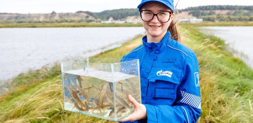 В реки Якутии выпустили сотни тысяч мальков редких видов рыб