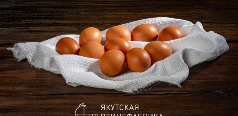 Якутская птицефабрика обещает не повышать цены на яйца до конца года