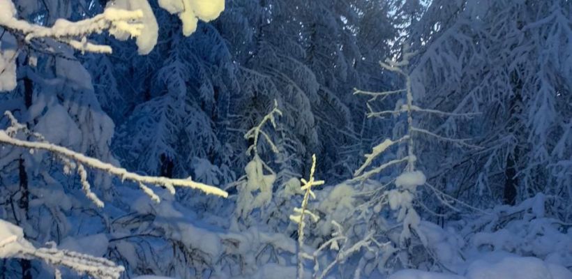 В Якутии ведутся поиски двух пропавших мужчин