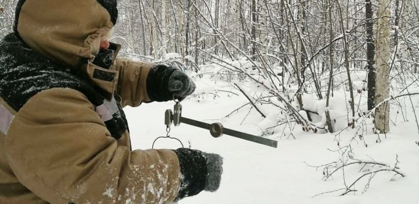 Вячеслав Шехиров: «В полной мере автоматика не заменит человека»