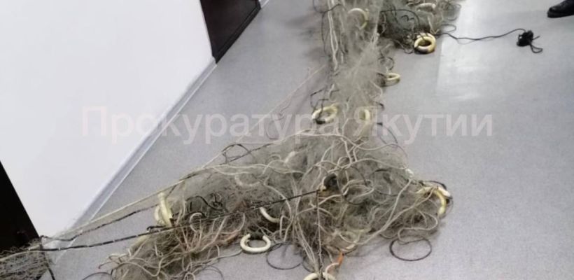 В Якутске осудили гражданина Китая за незаконный вылов сибирских осетров