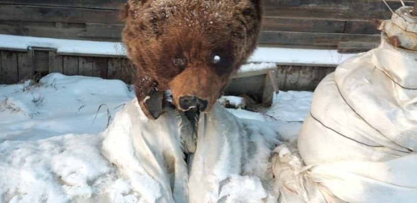 «Котельную в Якутске запустили, тепло подали. Не сразу, но тепло в квартирах будет»