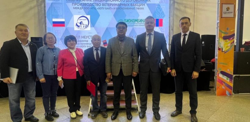 В Монголии налаживается производство разработанной в Якутске вакцины против мыта лошадей