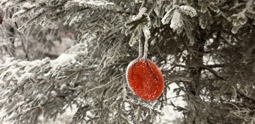 Что делать, если не хватает денег сделать подарки всем родным и друзьям на Новый год