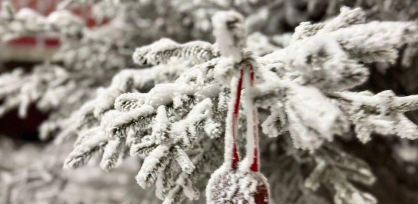 Шестидневка перед Новым годом: что нас ждет на следующей неделе