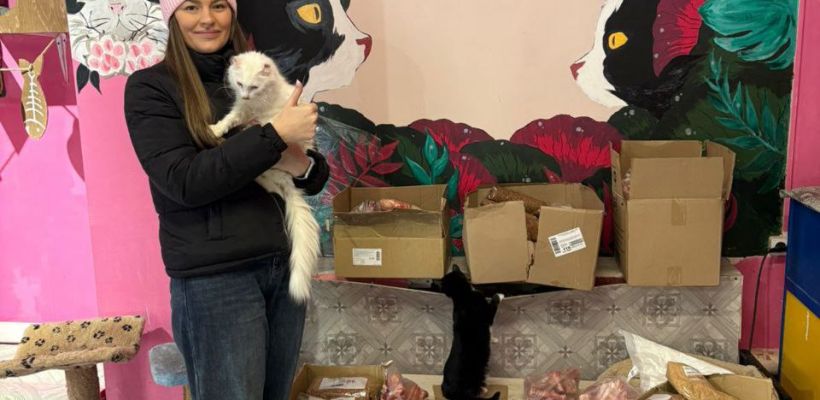 Победительница новогоднего розыгрыша в Якутске помогла приюту бездомных животных "4 лапки"