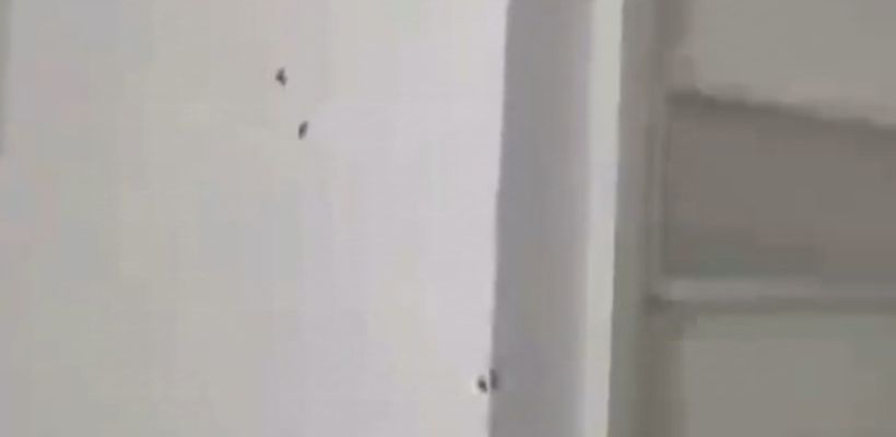 «Тараканы Васька и Петька»: Дом-интернат в Якутске, где неделю пролежал труп, обвиняют в антисанитарии