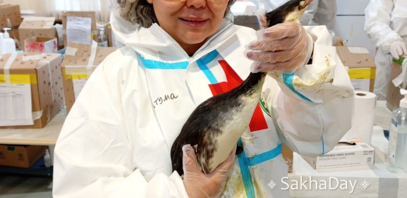 Якутские пенсионерки отпахали на вахте, чтобы встретить Новый год в Сочи. Сейчас они спасают Черное море от мазута