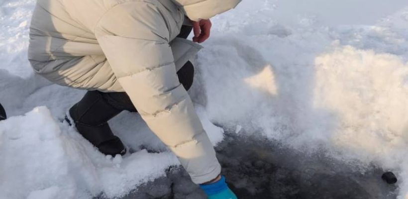 Реки под угрозой: загрязнение Чульмана и Дежневки расследуют экологи