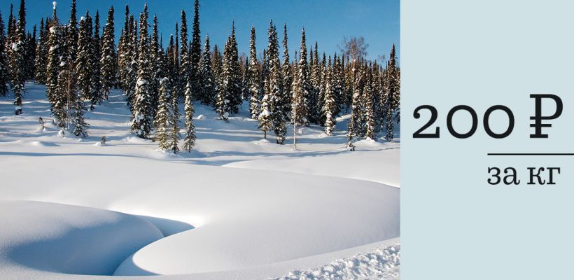 Министр Тимур Ханды принял всерьез шуточное объявление о продаже якутского снега