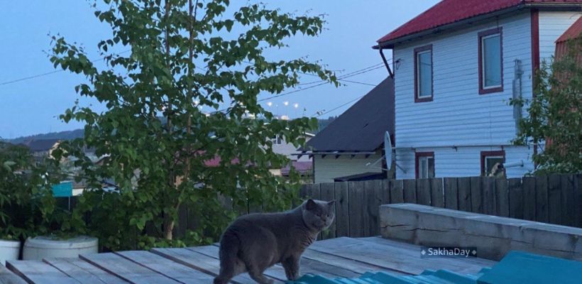 Ипотека на ИЖС в 2025 году: строить дом станет безопаснее, но дороже