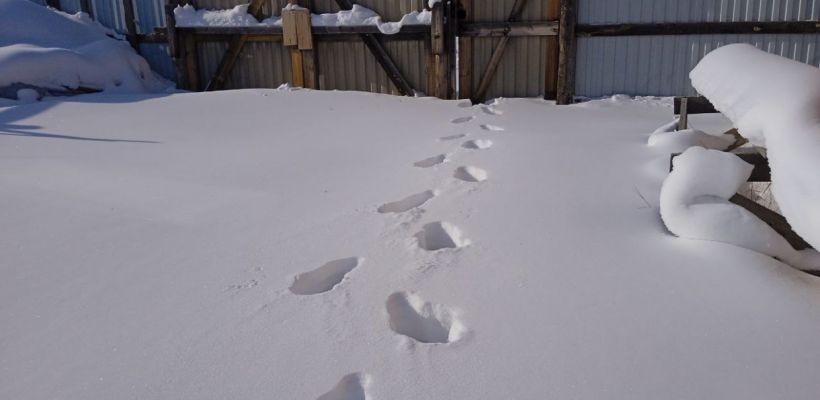 В Госдуме опровергли массовое изъятие дачных участков у россиян