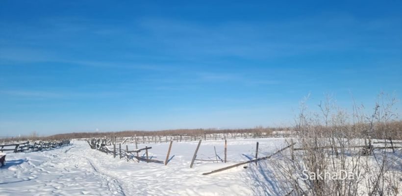 Новые подробности об участках ИЖС в Старой Табаге: Минимущества скрывает правду, мэрия запрещала межевать землю, сделку проверят силовики