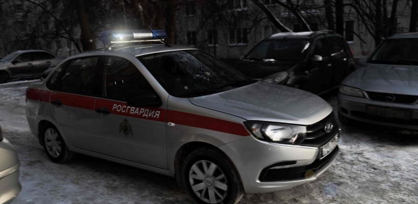 Хроника вызовов Росгвардии: ребенок-потеряшка, драка в караоке-баре,  кража бензопилы
