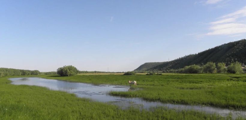 В Минимущества прокомментировали информацию о лендледи, владеющей участками в Старой Табаге