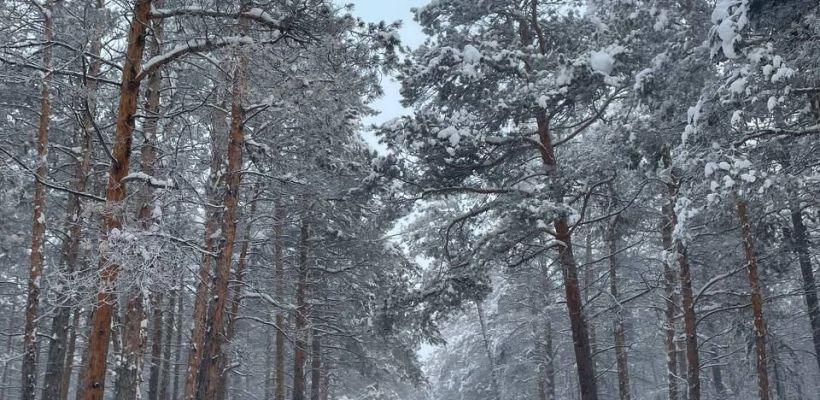 Приметы и прогноз погоды на февраль от народного синоптика Тараса Тарасова – Тускула