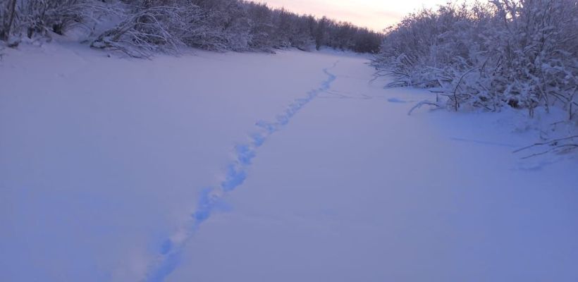 Семья с 8-месячным младенцем спасена