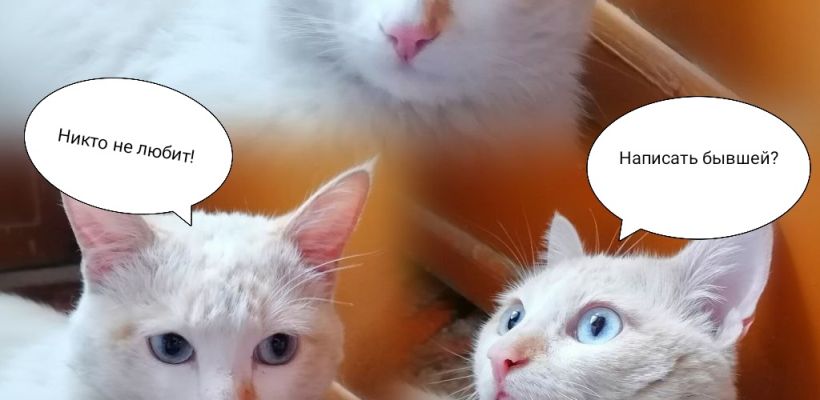 Сделай всего одно упражнение, чтобы не грустить 14 февраля