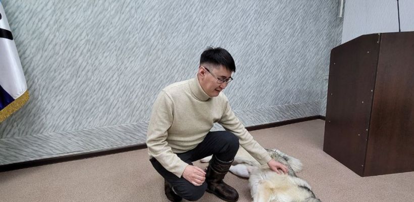 Якутский "Хатико" ждет умершего хозяина - главу Оленекского района А.С. Иванова