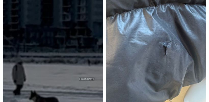 Собака напала на женщину на Сайсарском озере