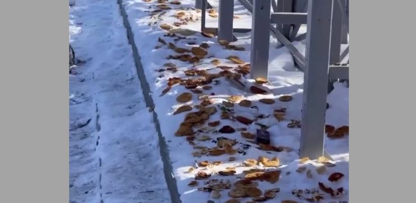 Жительница Хангаласского района: "Не стоит засорять нашу природу оладушками!"