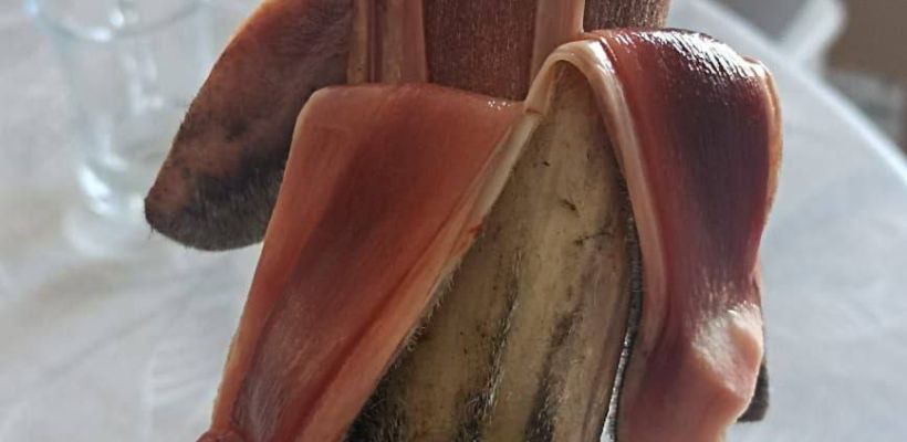 Фотофакт: Так выглядит эвенский "банан"