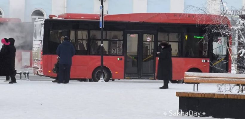 «Наконец-то люди пошли в водители автобусов!»