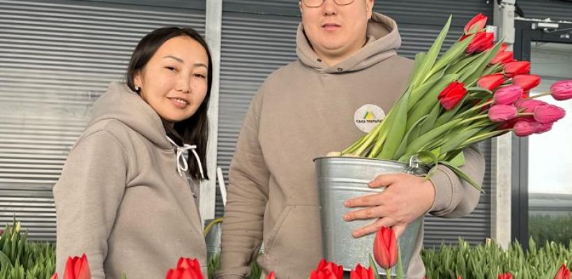 Цветы круглый год. Семья Санниковых создает красоту в якутском селе Майя