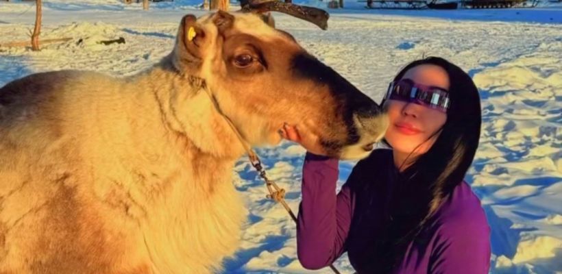 В стаде оленей из Якутска пополнение