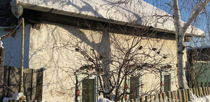 Приметы марта от Тускула. Когда поворачивается медведь, прилетают вороны, наступает день Теплого Алексея