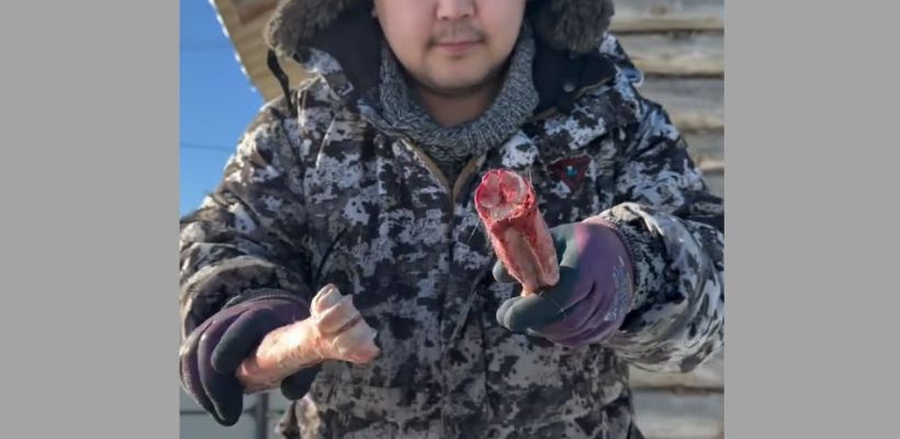 Панда Саха показал как извлечь силии