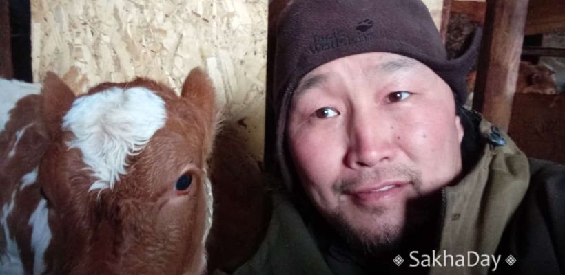 В Амгинском улусе родился теленок с «сердечком» на лбу