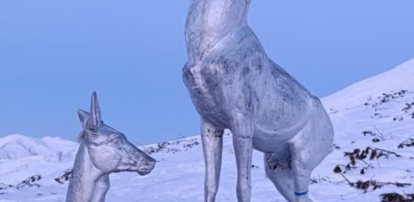 Фотофакт: Добрая традиция или захламление - как отличить?