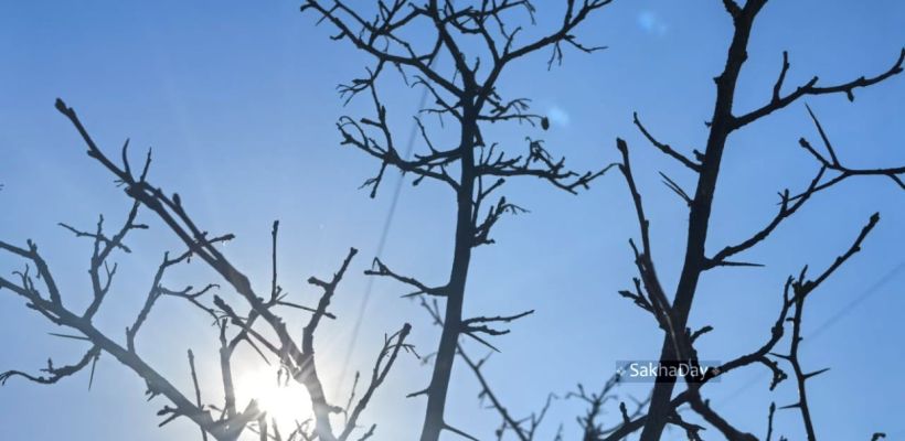 Якутский синоптик Тускул - потепления в ближайшие дни не ждите!