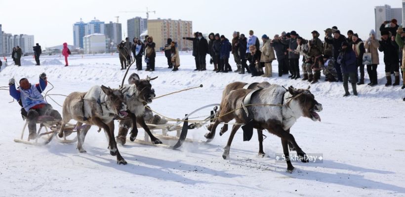 Видеофакт: Невероятное видео гонок на оленьих упряжках в Якутске