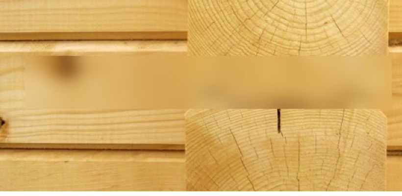 Жительница Якутска купила у иркутской компании домокомплект с плесенью и грибком