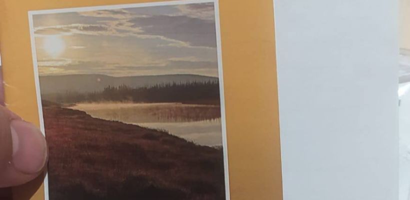 Жители Сатала в который раз обратились к мэрии Якутска: Администрация СНТ не слышит нас!