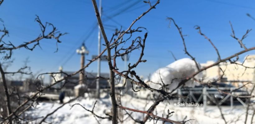 Народный синоптик Тускул :"Весна опаздывает на неделю, а то и больше"