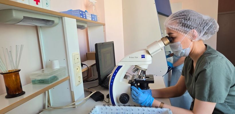 Более 29 тысяч мужчин прошли обследование репродуктивного здоровья в Якутии